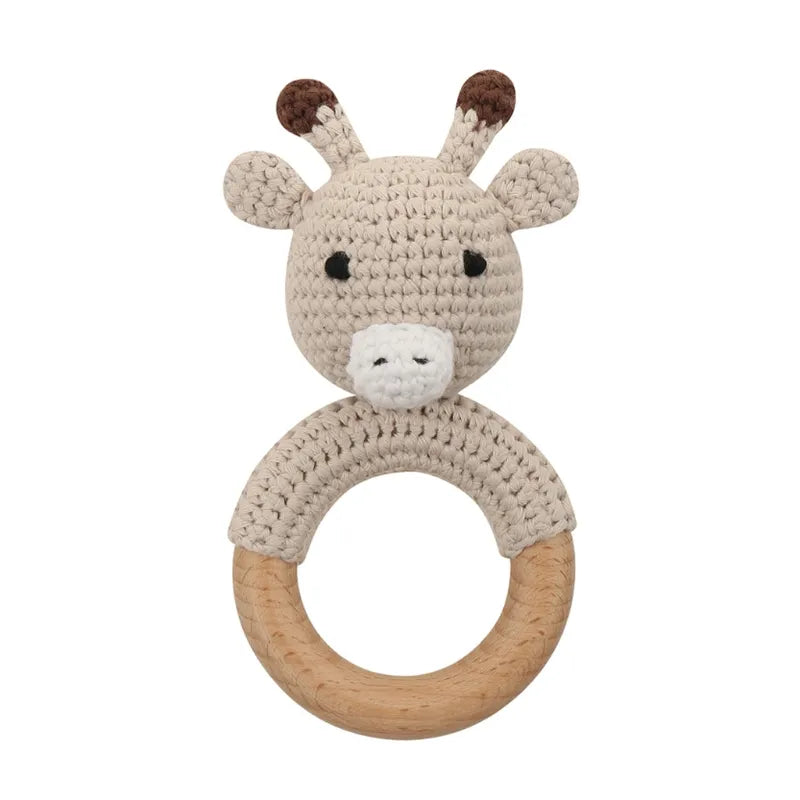 Pacifier Clip Teether Toy Set