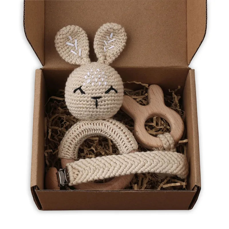Pacifier Clip Teether Toy Set