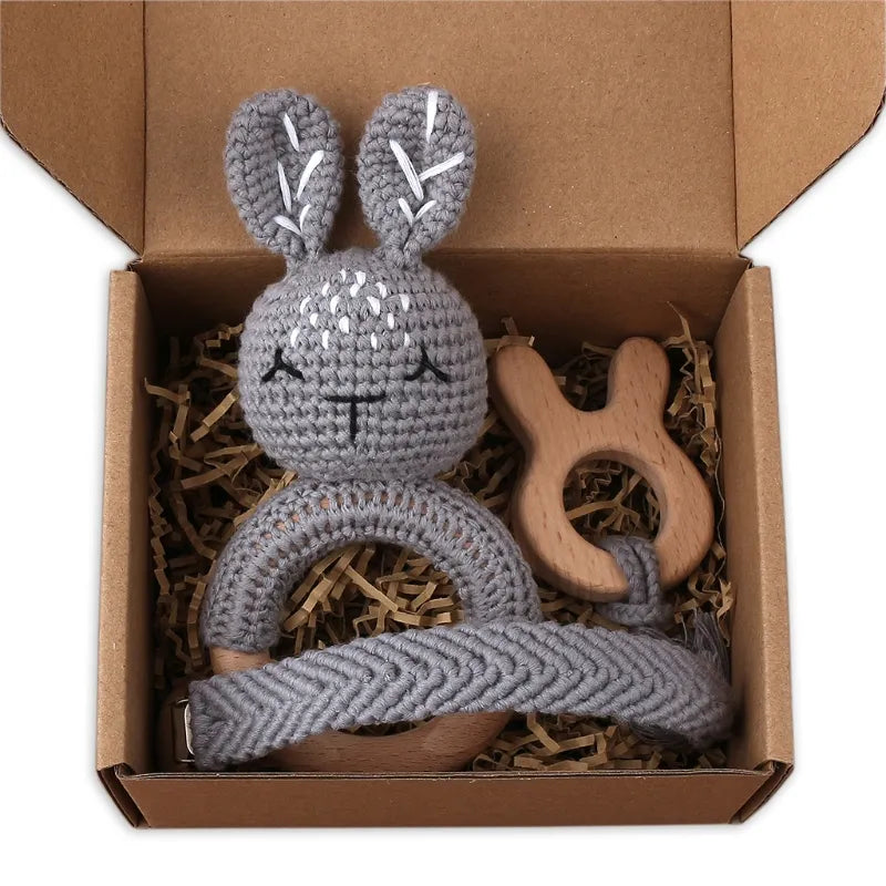 Pacifier Clip Teether Toy Set