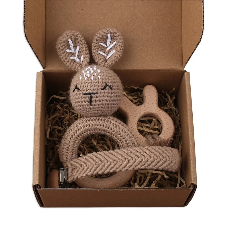 Pacifier Clip Teether Toy Set