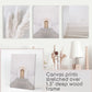 Contemporary Aesthetic Wall Art. Pampas Grass, Stairs, Door