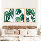 3 Piece Green Monstera Leaf Print Set. Tropical Decor