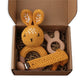 Pacifier Clip Teether Toy Set