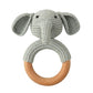 Pacifier Clip Teether Toy Set